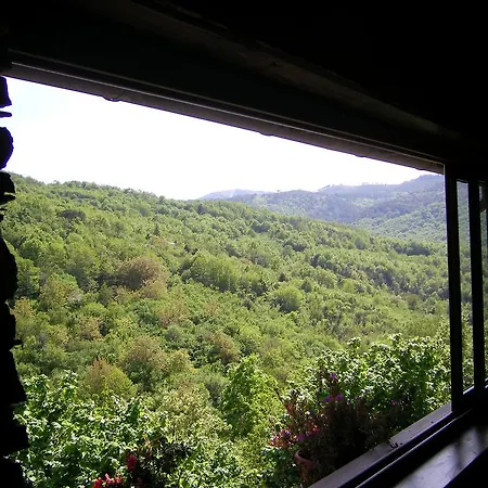 Su Foxile אריצו