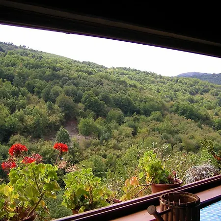 Villa Su Foxile *