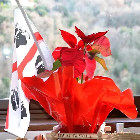 Su Foxile וילה אריצו